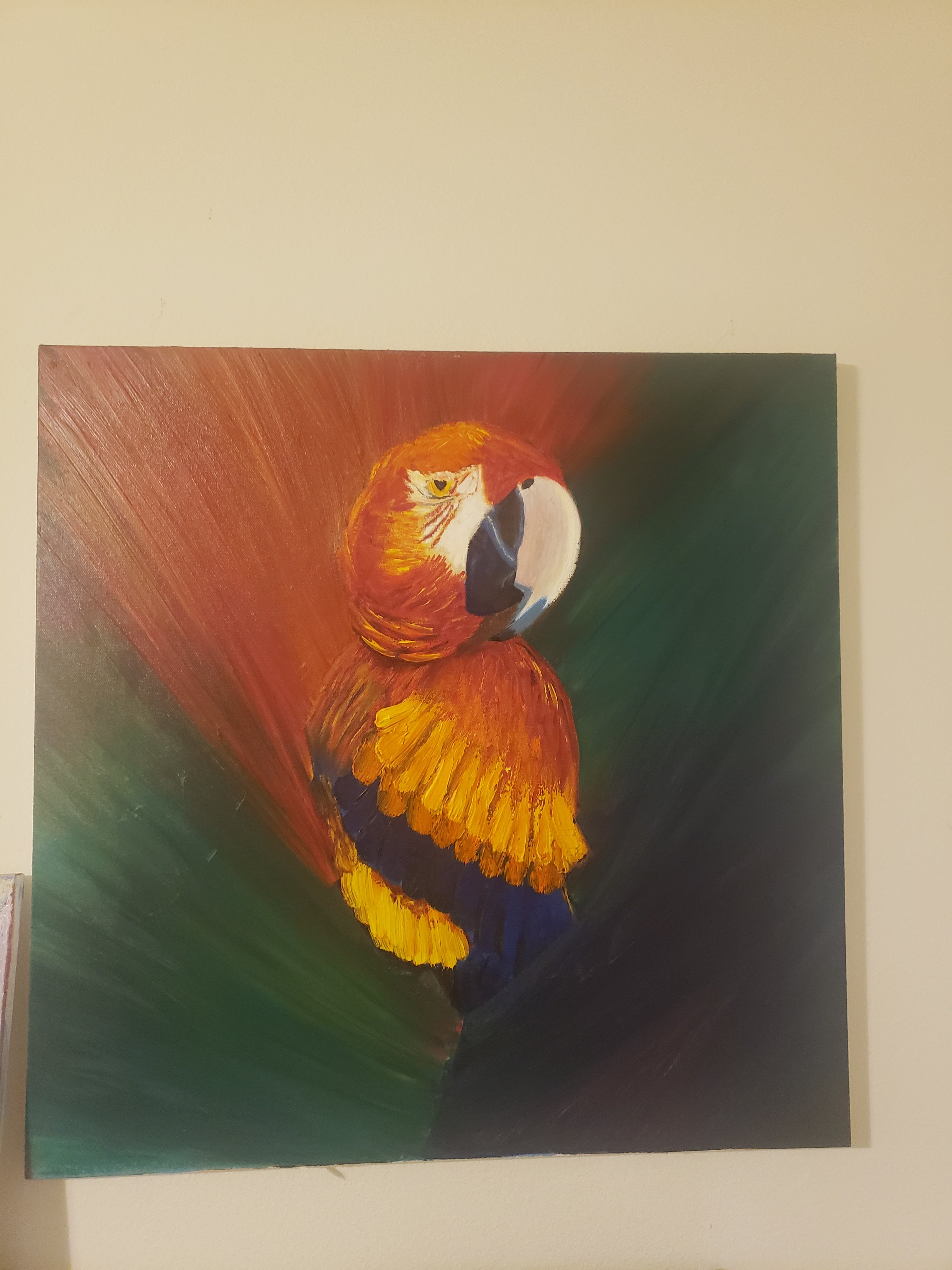 Mr. Ernie the Parrot